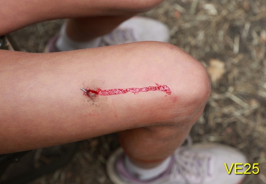 R6m2 220825 15 46 0579